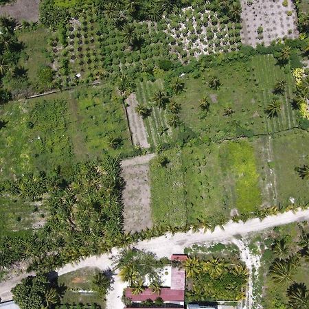 Thila Farm View Hotel Thoddoo Bagian luar foto