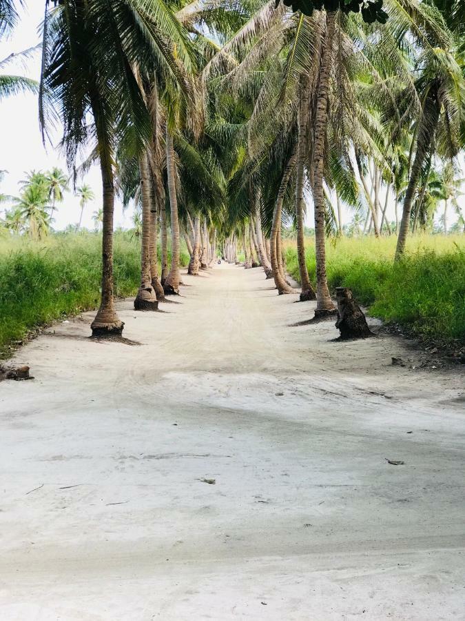 Thila Farm View Hotel Thoddoo Bagian luar foto
