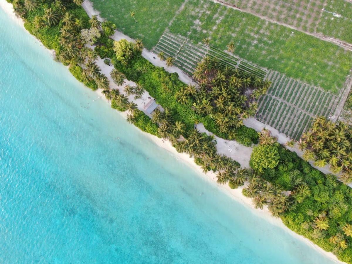 Thila Farm View Hotel Thoddoo Bagian luar foto