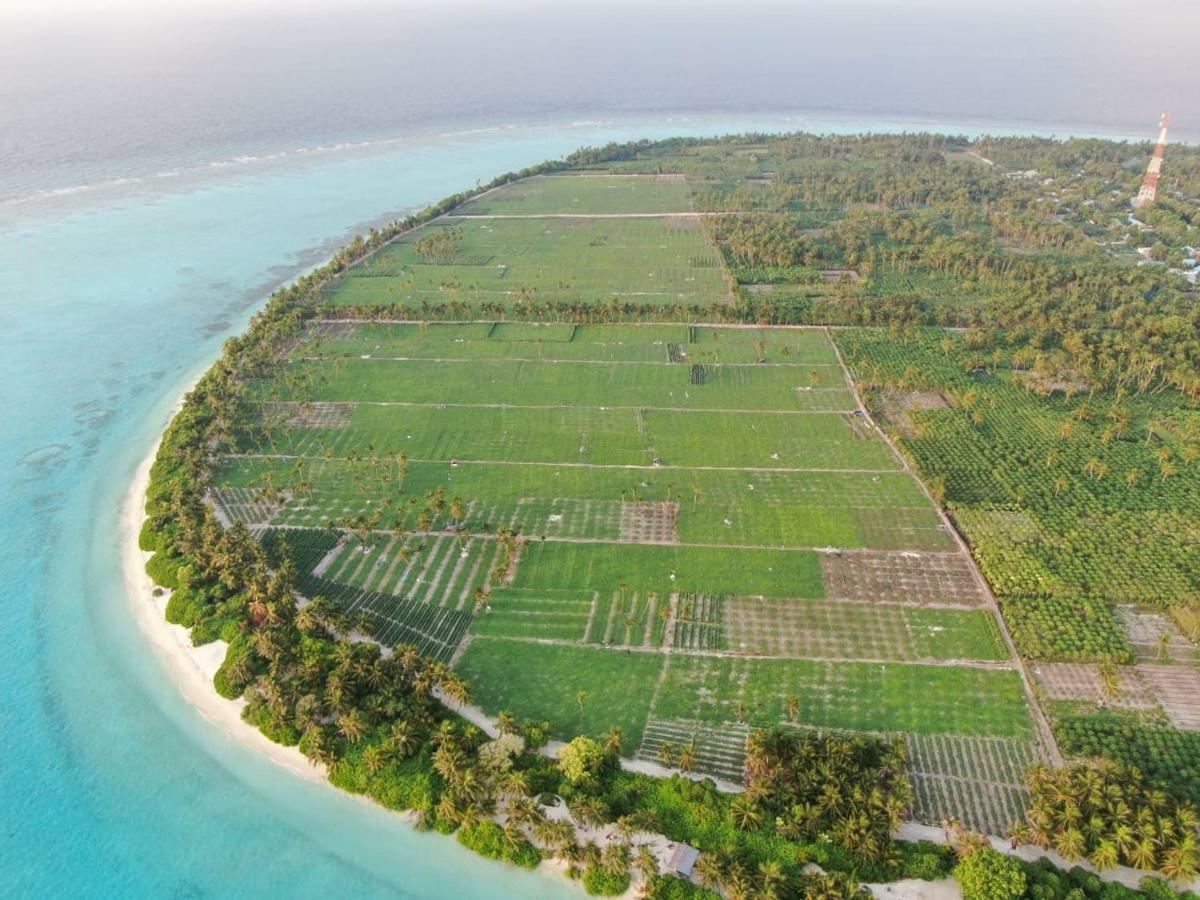 Thila Farm View Hotel Thoddoo Bagian luar foto