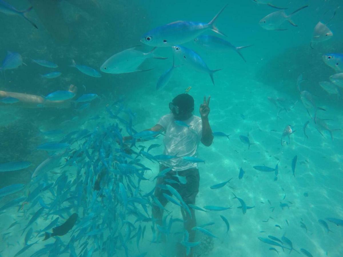 Thila Farm View Hotel Thoddoo Bagian luar foto